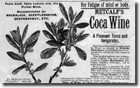 History of Cocaine 2